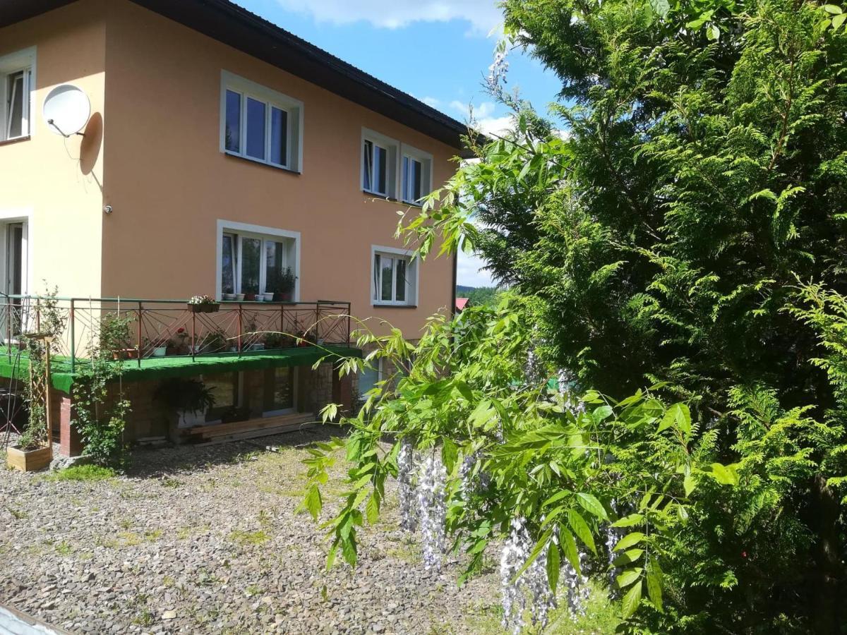 Noclegi Pod Lasem Solina 20 Exteriör bild